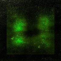 Adrian Newgent - Communication - EP