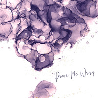 Minnie Rogers - Prove Me Wrong