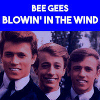 The Bee Gees - Blowin' In The Wind