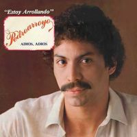 Pedro Arroyo - Estoy Arroyando