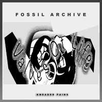 Fossil Archive - Valves Of Life