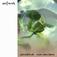 jarradcleofé - tears turn black