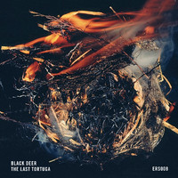 Black Deer - The Last Tortuga