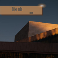 NightOwl - Bitten Bullet