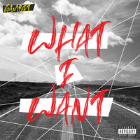 Gambit - What I Want (Explicit)