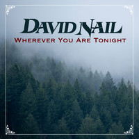 David Nail - Wherever You Are Tonight