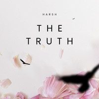 Harsh - The Truth (Instrumental) (Explicit)