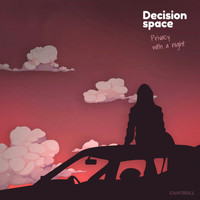 Decision space - Privacy With A Night