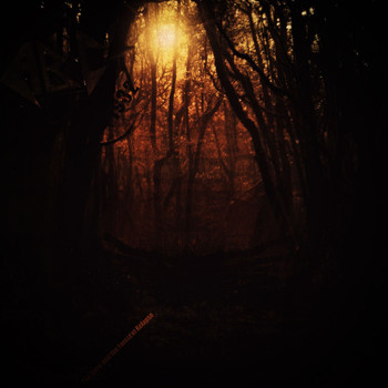 ABC - The Cure and the Forest of Relapse