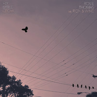 Rosie Thomas - Fly Little Crow