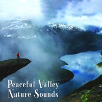 Calm Singing Birds Zone - Peaceful Valley Nature Sounds