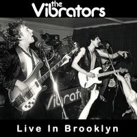 The Vibrators - Live In Brooklyn