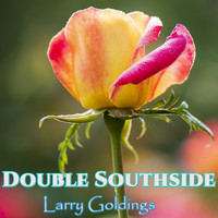 Larry Goldings - Double Southside