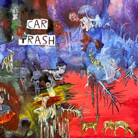 Heidi Harris - Car Trash