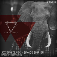 Joseph Gaex - Space Ship