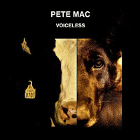 Pete Mac - Voiceless