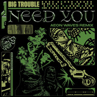 Big Trouble - Need You (Aeon Waves Remix)