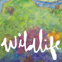 Headlights - Wildlife (Deluxe Edition)