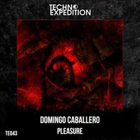 Domingo Caballero - Pleasure