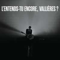 Vincent Vallières - L'entends-tu encore, Vallières? (le spectacle sans monologues / Live)