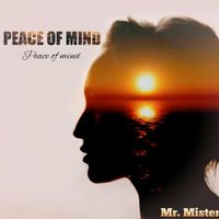 Mr. Mister - Peace of Mind