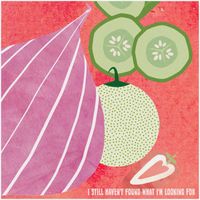 Tom Rogers Band - I Still Haven't Found What I'm Looking For