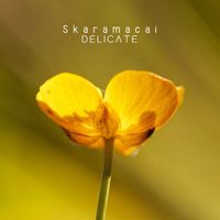 Skaramacai - Delicate