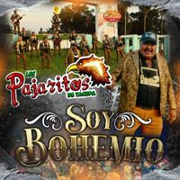 Los Pajaritos De Tacupa - Soy Bohemio