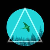 Magnetic West Music - Little Swallow