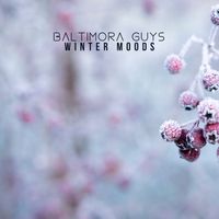 Baltimora Guys - Winter Moods