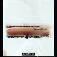 93i - Da Panamanian Banana Racket (Federation of Garden Clubs Inc. Panamanian Brilliance)