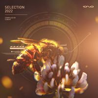 Cubixx - Selection 2022