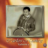 Carlos Nuñez - Vuélveme a Ti