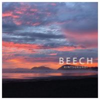 Beech - Kintsukuroi