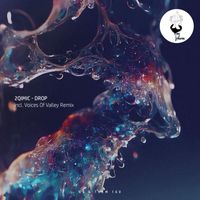 2Qimic - Drop