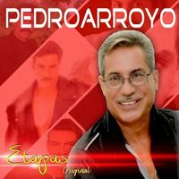 Pedro Arroyo - Etapas Original