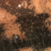Surface 10 - A Stray Ending