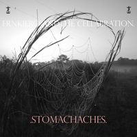 frnkiero and the cellabration - Stomachaches