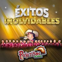 Los Pajaritos De Tacupa - Éxitos Inolvidables