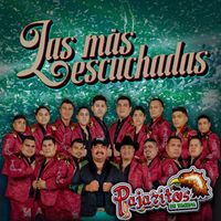 Los Pajaritos De Tacupa - Las Más Escuchadas