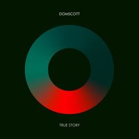 Domscott - True Story