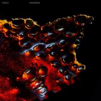 NOCUI - Anabiosis