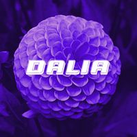 Manda Chuva - Dalía