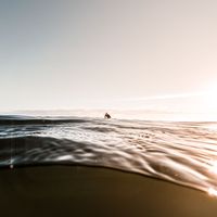 Surf Friends - Dreaming