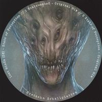 Lost Minds (DE) - State of Perception