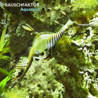 Rauschfaktor - Aquarium