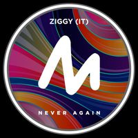 Ziggy (IT) - Never Again