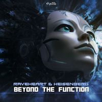 Raveheart and Heisenberg - Beyond the Function