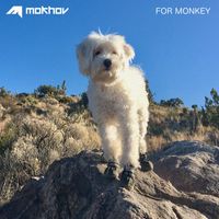 Mokhov - For Monkey