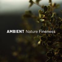 Nature Sounds Artists - Ambient Nature Fineness